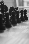 为什么真人游戏更受欢迎——互动、公平与社交